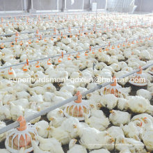 Heißer Verkauf automatische Geflügel-Bauernhof-Ausrüstung für Hühnerfarm